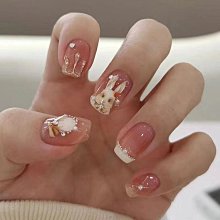 穿戴甲 小紅書爆款 指甲貼片 穿戴式 可拆卸 長款閃耀蝴碟結 假指甲 美甲片 歷史價格詳細信息