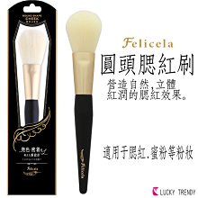 日本LUCKY 耀眼金屬感指甲油-青銅色【津妝堂】4965412235470 歷史價格詳細信息