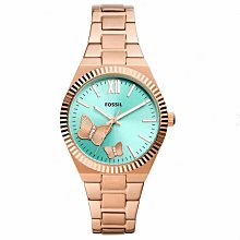 FOSSIL 綠意生活手提包(大-紅) 歷史價格詳細信息