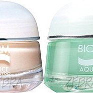 ～全新～碧兒泉(BIOTHERM) 清綠色隨身多功能pc電腦包/拉鍊手提袋**2011年 歷史價格詳細信息