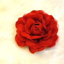 《紅布朗》玫瑰金典藏禮盒(綜合堅果+頂級生機果仁+堅果素香鬆+鹽烤3色堅果) 歷史價格詳細信息