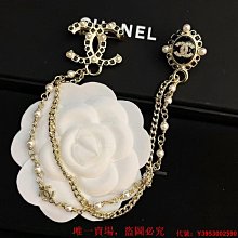二手正品 CHANEL 香奈兒   胸針  超酷 歷史價格詳細信息