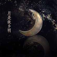 鮑勃の生活館【家家樂·時尚穿搭】上衣短版上衣新款顯瘦五分袖鏤空毛衣針織衫套頭薄款寬鬆罩衫韓版雪紡上衣大尺碼蕾絲上衣女 歷史價格詳細信息