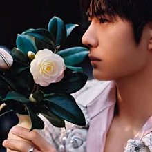 王壹博同款 日本Rivers Cave手沖咖啡過濾杯 矽膠軟體便攜可折疊 歷史價格詳細信息