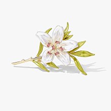 小花朵胸女高檔氣質領口防走光扣母貝殼夏精致胸花別固定衣服~告白氣球 歷史價格詳細信息