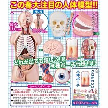 【絕版】扭蛋 轉蛋 2016年 藝妓 和服最初一代 JAPAN 日本 x 杯緣子 原始色 最初限量 一次擁有(含隱藏版) 歷史價格詳細信息