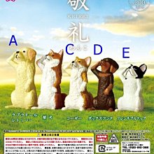 北車 可折疊 USB-C及Lightning接口 【亞果元素】GRAVITY 3 5000mAh 三合一折疊口袋行動電源 歷史價格詳細信息