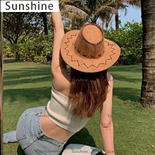 草原的椅子DVD，佐藤浩市  西村雅彦  瀬美智子  黑木華，正版全新 歷史價格詳細信息