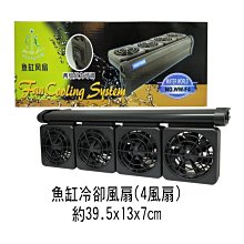 微笑的魚水族☆【水管轉接頭 / 大小管轉接頭 2個】12/16mm轉16/22mm 水管轉接器 歷史價格詳細信息