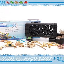 【魚店亂亂賣】ISTA雙出水149L型全密封直軸式上部揚水馬達149L/Min超靜音I-110台灣伊士達XL-149L 歷史價格詳細信息