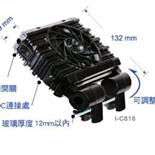 ◎ 水族之森 ◎日本 Hikari 高夠力 艷紅燈科魚飼料（80g）"日本國內限定“ 歷史價格詳細信息