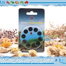 【~魚店亂亂賣~】A-039-220台灣UP雅柏-內置沉水馬達220L/H(沉馬)抽水馬達/水中馬達頭 歷史價格詳細信息