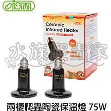 【ISTA 伊士達】爬蟲保溫燈泡75w(月光燈泡/聚熱燈泡) 歷史價格詳細信息