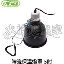 【ISTA 伊士達】爬蟲保溫燈泡75w(月光燈泡/聚熱燈泡) 歷史價格詳細信息