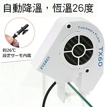 日本熱銷 螺旋雙頭棉棒 黑色活性炭棉簽棒 紙軸棉花棒挖耳棒180支 歷史價格詳細信息