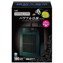 【GEX五味太郎】小型缸用防藻濾材 歷史價格詳細信息