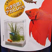 ~永和＊魚餘水族~日本Nisso 外掛專用濾材包 小型缸 除藻 除毒 除臭 歷史價格詳細信息