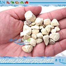 【魚店亂亂賣】ISTA小型微粒飼料60g(增艷配方)孔雀魚，燈科魚，球魚飼料台灣伊士達I-336 歷史價格詳細信息
