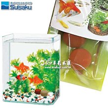 【AC草影】 Suisaku 水作 烏龜內置過濾器（S）【一組】兩棲缸專用 歷史價格詳細信息