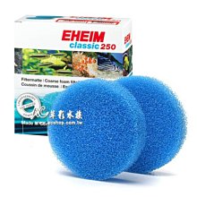 ecoco 專利防滑落拖把架2入組 彈性矽膠輕鬆拿取 無痕壁掛掃把架 置物收納掛架 雨傘架工具夾 歷史價格詳細信息