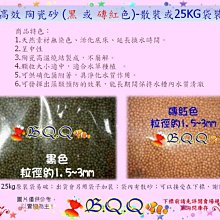 [B.Q.Q小舖]FishLive-樂樂魚【魔術球 12入】 歷史價格詳細信息