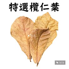 欖仁果極潤保濕活水凝露新包裝/欖仁果極潤保濕水凝露 BeautyEasy 歷史價格詳細信息
