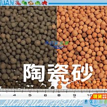 【魚店亂亂賣】缸掛式(ㄇ款蛇型)水草CO2二氧化碳玻璃長期監測器LUANFISHOP精製 歷史價格詳細信息