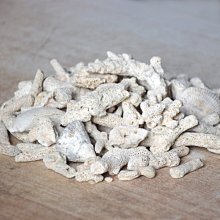 殺魚娃娃，全新商品。夾到的 價格可談 歷史價格詳細信息