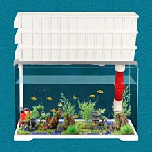 長方形鱷魚紋便攜首飾盒收納盒隨身簡約皮質拉鏈 項鏈耳環收納 SN1212 歷史價格詳細信息