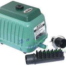 海威水族~ 升級款 不鏽鋼 入水網頭 / 炸彈頭 12mm / 16mm 小魚蝦被吸入 12/16  16/22 保護套 歷史價格詳細信息