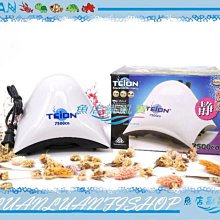 【魚魚】雙孔自動吹氣球電動打氣筒可攜式充氣機泵結婚慶禮生日裝飾布置 歷史價格詳細信息