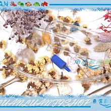 【~魚店亂亂賣~】LUANFISHOP三分管用連接L彎管上部過濾器三分管/3分配管(PVC管專用) 歷史價格詳細信息