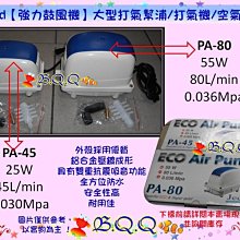 【 Q&Q機芯】Q&Q Smile solar X 關史蒂芬妮 聯名正版太陽能機芯 40mm 歷史價格詳細信息