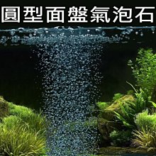 [ 氣泡石 ] 圓扁形 灰 打氣幫浦 水族箱 魚缸 蝦網 活魚桶 歷史價格詳細信息
