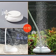 台北►►多彩水族◄◄奈米微孔《 奈米 中空球 》 魚缸 過濾 培菌 硝化菌 厭氧菌 陶瓷環 淨化 水質 上部過濾 圓桶 濾材 歷史價格詳細信息