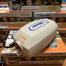 ［水族最便宜］銀箭K101乾電池式停電打氣機 歷史價格詳細信息