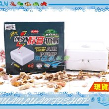 【魚店亂亂賣】水族先生全方位淨水硝化菌+全效水質穩定液魚體保護膜500ml(2種各1瓶組合)台灣製Mr.Aqua 歷史價格詳細信息