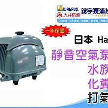 含稅 HAKKO B1784 螺帽 外螺絲 外螺紋 螺母 用於900M/907/980/981/937烙鐵筆#HK95 歷史價格詳細信息
