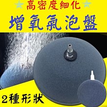 (高氧執照7,500元)潛水執照,國際潛水執照,潛水推薦,墾丁潛水,綠島潛水,蘭嶼潛水,小琉球潛水,東北角 歷史價格詳細信息