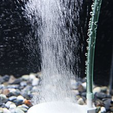 高溶氧《氣泡盤-12CM》氣泡石 氧氣石 打氣石 打氧石 打氣盤 泡泡石 增氧 溶氧 高密度細化 須接大打氣機！ 歷史價格詳細信息