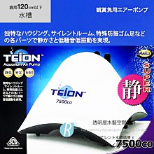 【透明度】TEiON 帝王 超強靜單孔馬達 1000型 1L/min【一台】適用水缸45cm以下 空氣馬達 打氣幫浦 歷史價格詳細信息