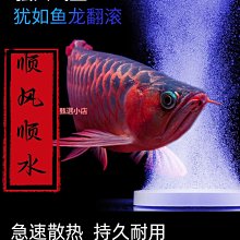 海鮮池塑料透氣帽魚缸過濾網罩透水帽水族隔離網濾水罩濾水圓網~告白氣球 歷史價格詳細信息