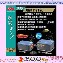 [B.Q.Q小舖]台灣製造-SUNPOLE DC變頻水陸兩用沉水馬達 VS-10500 節能遙控可調速(免運) 歷史價格詳細信息