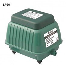 【E-L日裳森活】洋裝腰封 彈性腰帶 久帶 細腰封 顯瘦 腰身 洋裝長版上衣必備單品 現貨實拍☆出清☆ 歷史價格詳細信息