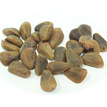鳥類專科獸醫監修！鸚鵡飼育小百科：從飼育、訓練到與鸚鵡相伴一 歷史價格詳細信息