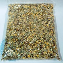 ＊中華鳥園＊【熟化飼料】精選大葵花子(有殼) 500公克 中型/中大型/大型 歷史價格詳細信息
