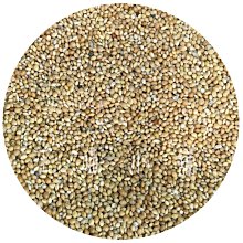 ☆汪喵小舖2店☆ 特價 SJ貓砂鏟 大貓鏟 // 貓砂專用鏟子 // 礦砂、豆腐砂適用 歷史價格詳細信息