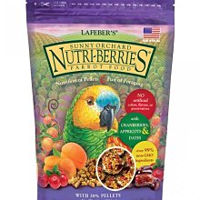 【光合果物】特級紅肉火龍果 中果 團購箱(12-15顆/箱) 歷史價格詳細信息