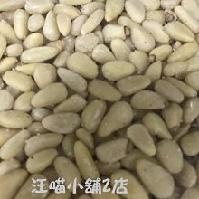 鸚鵡 蜜袋鼯 鳥類 刺蝟 兔貂 小動物廣口陶瓷保溫燈 寵物用保暖加熱燈 廣口萬向保暖燈 聚熱夾燈（不含燈泡）每件250元 歷史價格詳細信息