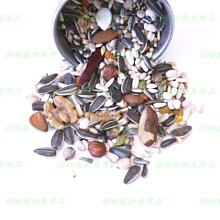 藍亞仕 中大長尾鸚鵡日糧 分裝包(500g) 鳥飼料 鸚鵡飼料《寵物鳥世界》CC022 歷史價格詳細信息